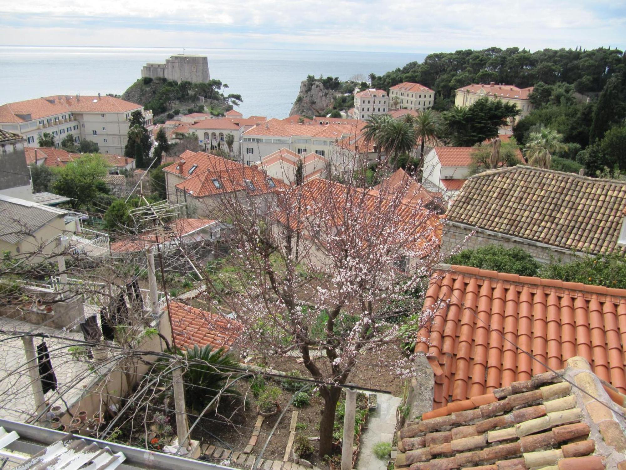 Room & Apartment Saint John Dubrovnik Exterior photo